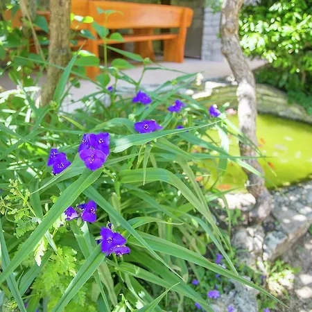 Spacious Holiday Home With Fireplace In Tinjan Croatia Holiday home Tinjan